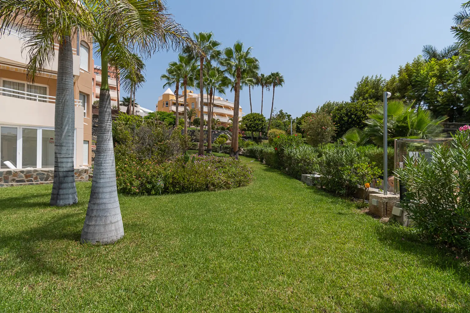 Oasis-La-Caleta-Green-Areas-Tenerife-6