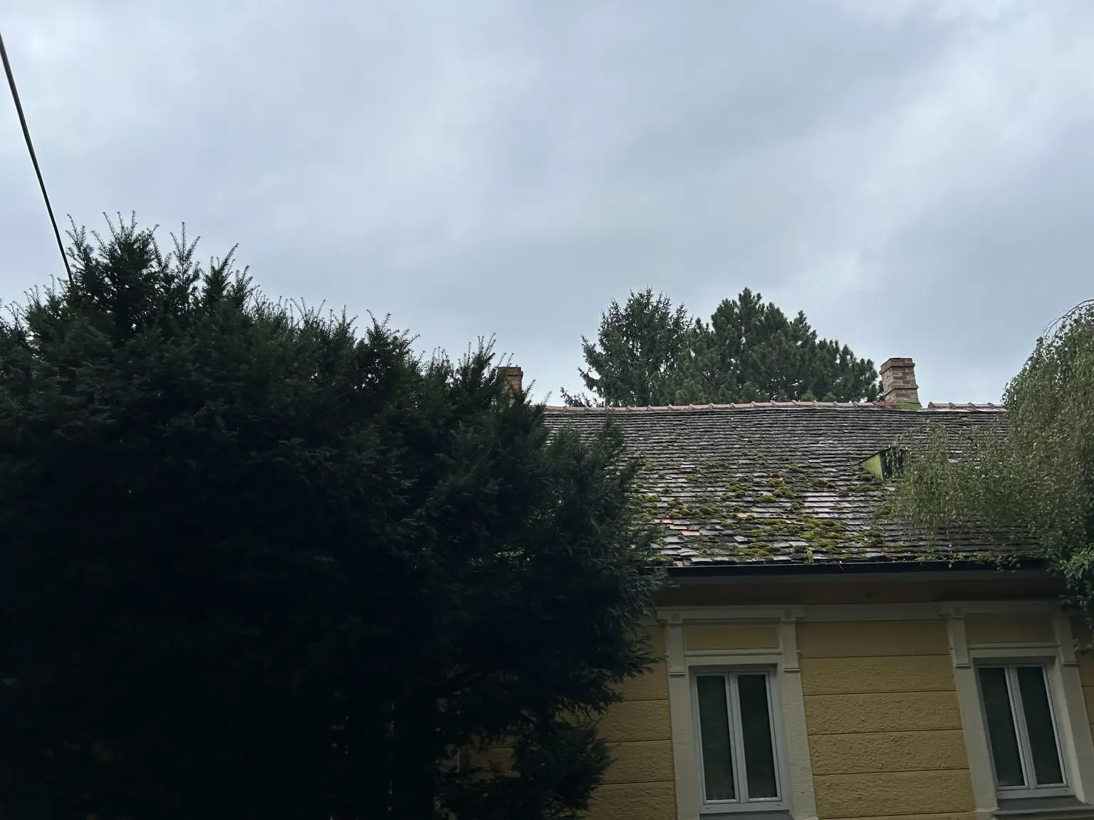 Exklusives Grundstück in Langenzersdorf mit Altbestand