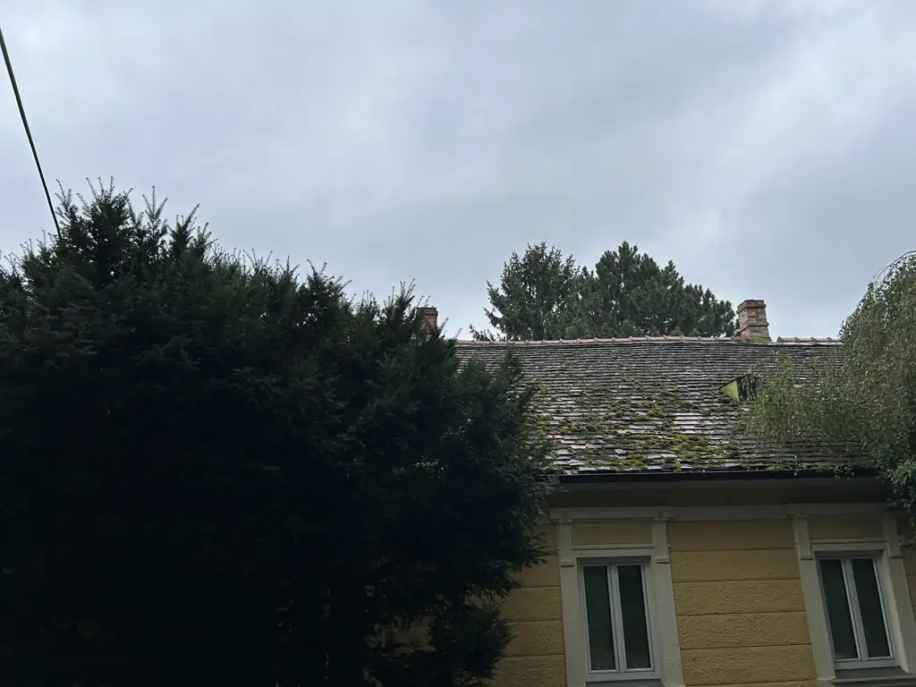 Exklusives Grundstück in Langenzersdorf mit Altbestand