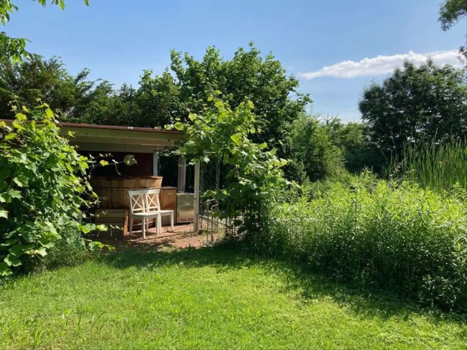 HARMONISCHE PRACHTLIEGENSCHAFT MIT SCHWIMMTEICH