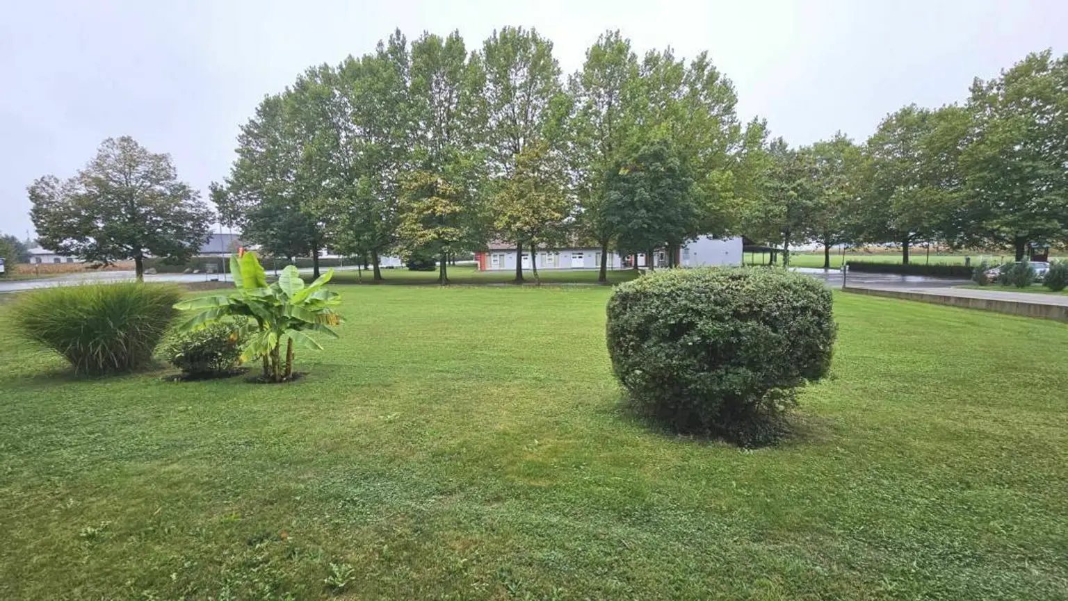 **Barrierrefreie & großzügige Wohnung** sonnige Loggia mit Grünblick** Carport**