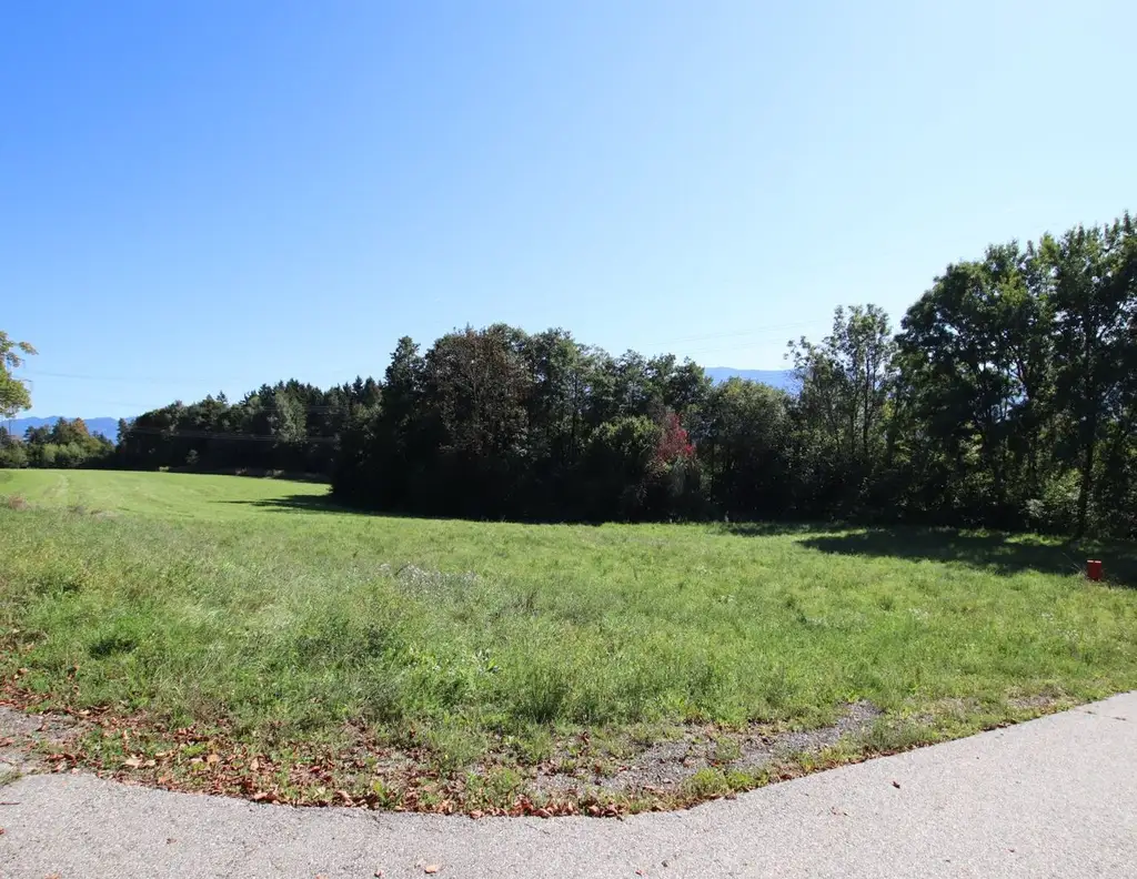 Schöner, großer und flacher 1.850m² Baugrund in Ludmannsdorf - Lukowitz