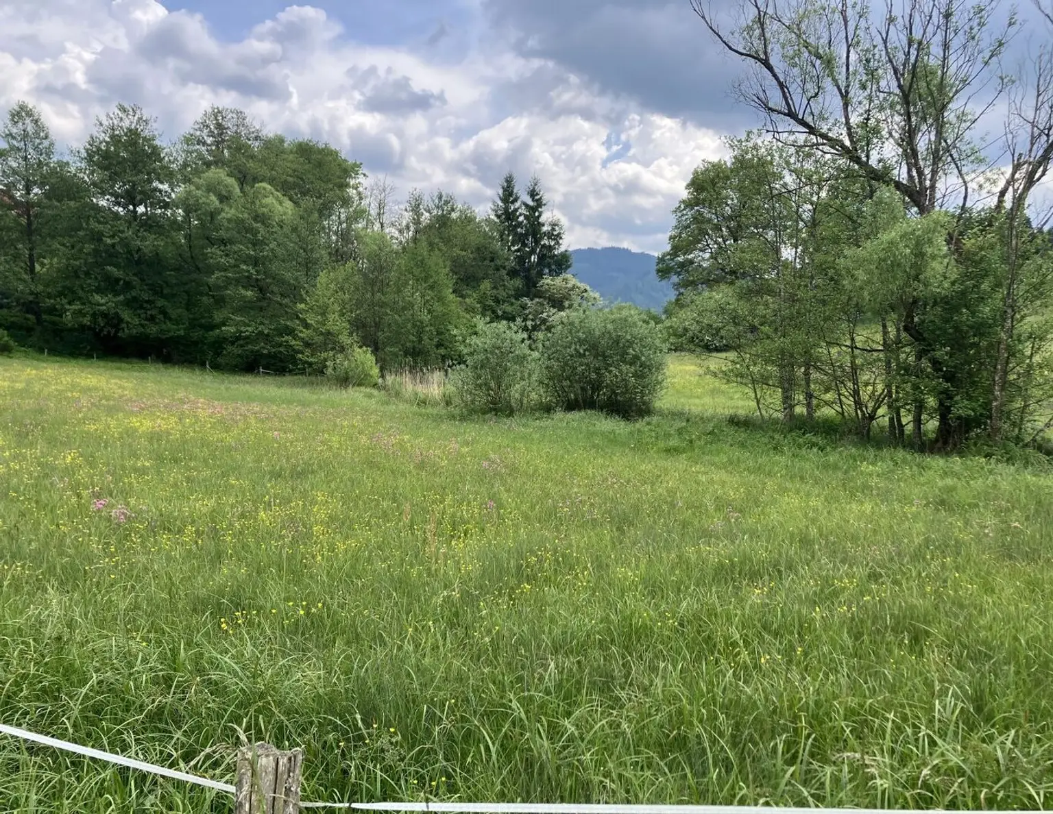 BAULAND DORFGEBIET! TRAUMHAFTES BAUGRUNDSTÜCK IN ST. GEORGEN AM LÄNGSEE
