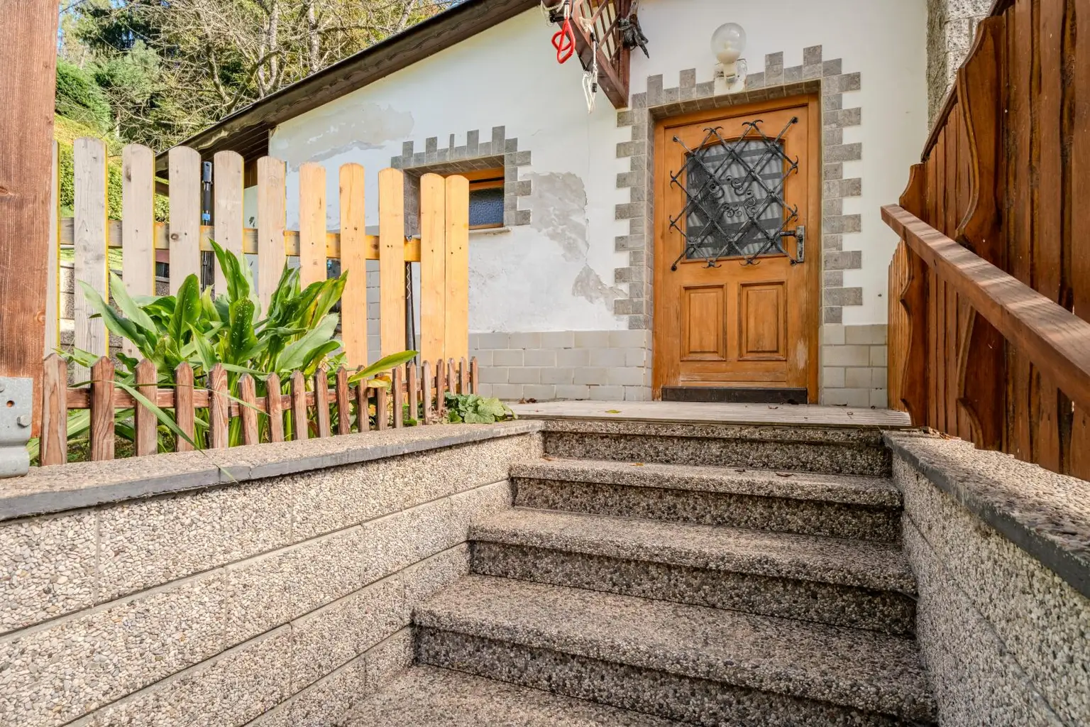 Eingangstür Altbestand 2