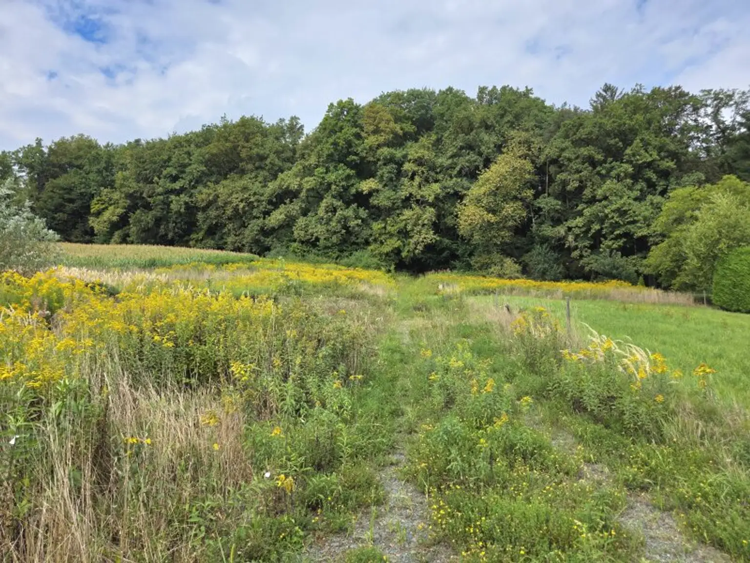 Sonniges Bauland mit Pläne und Baubewilligung!