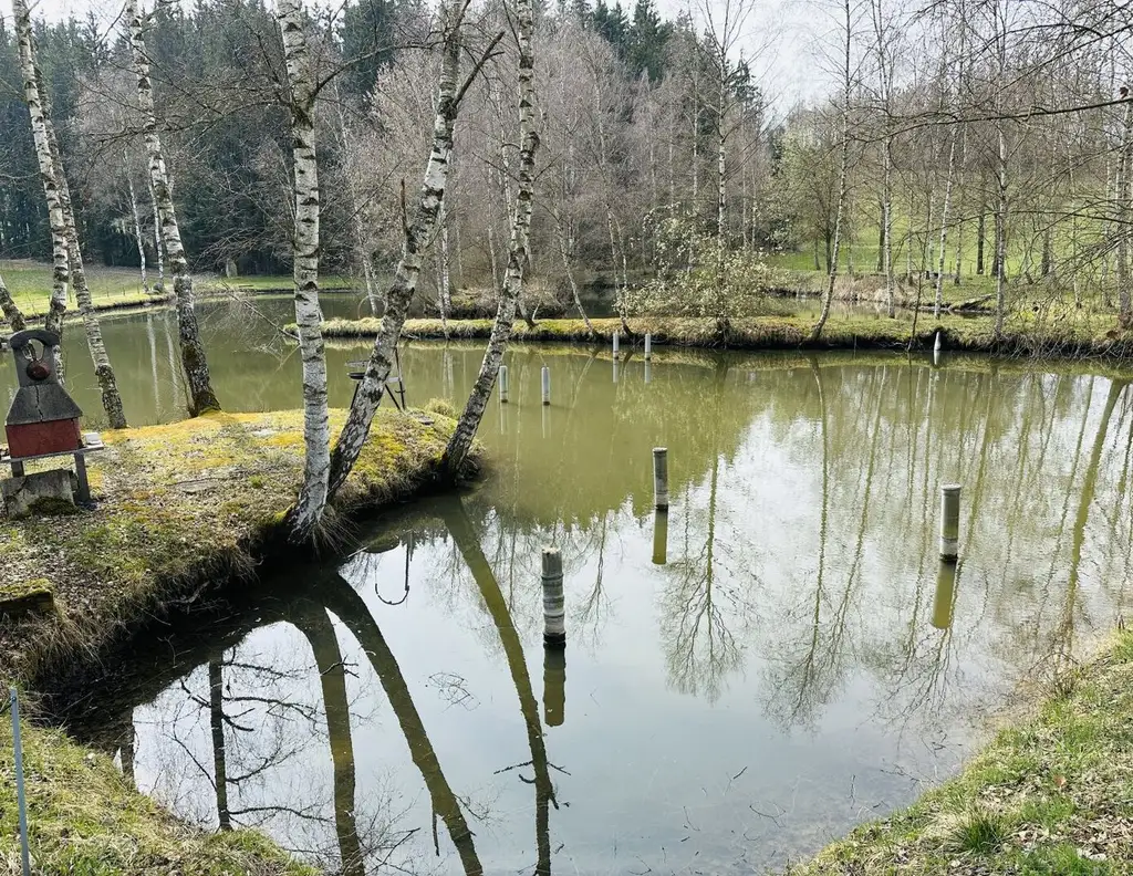 Besichtigungstag am 08.11.25! Idyllisches Freizeitdomizil in absoluter Ruhelage - Ein Paradies für Naturliebhaber