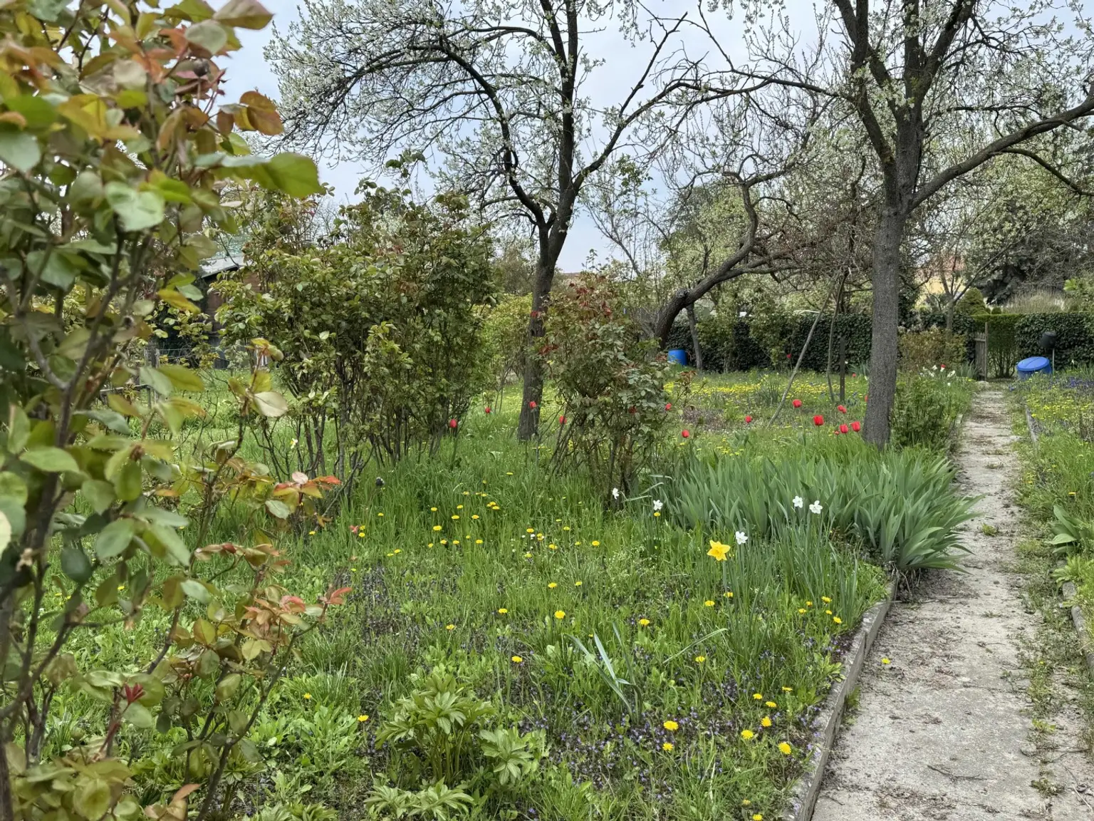 02. Kleingartengrundstück 2100 Korneuburg