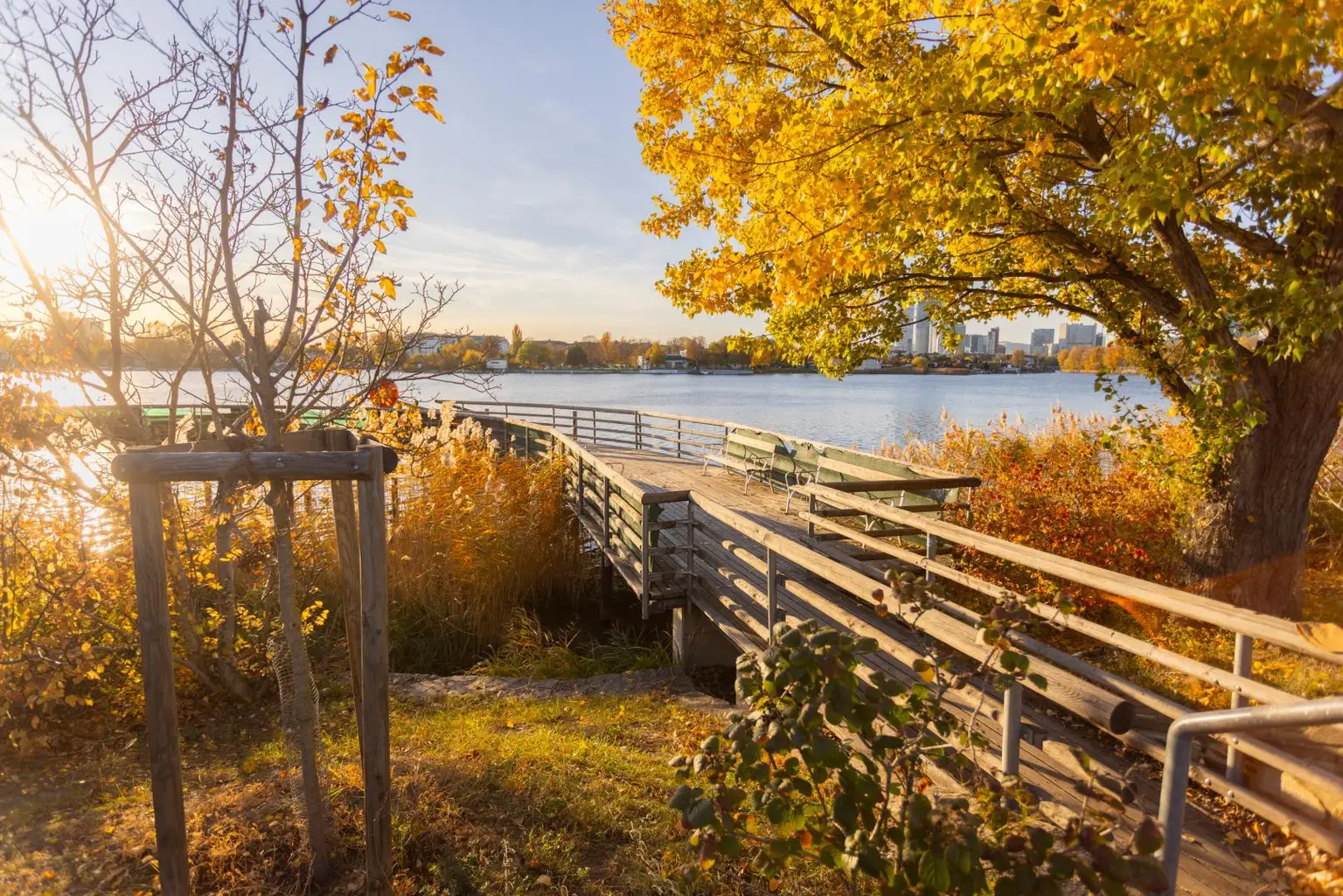 Alte Donau: Kleingartengrundstück mit Altbestand und Entwicklungspotenzial