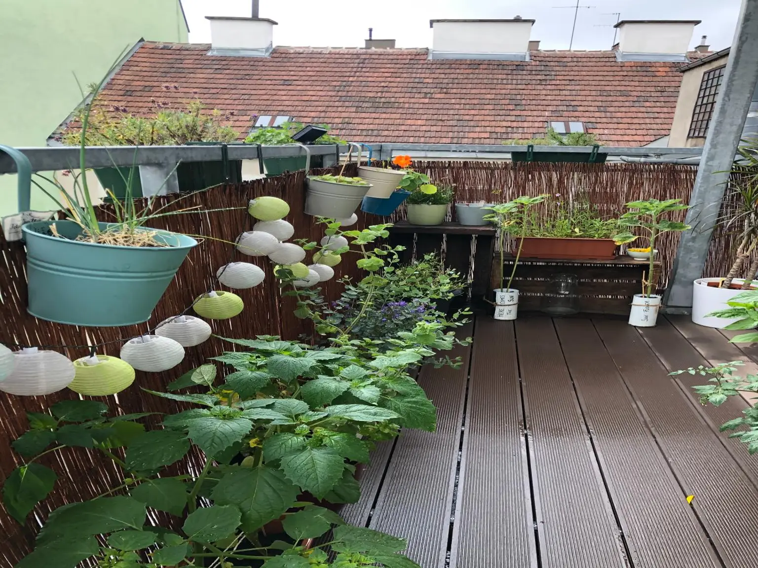 "Altbauwohnung top saniert!"