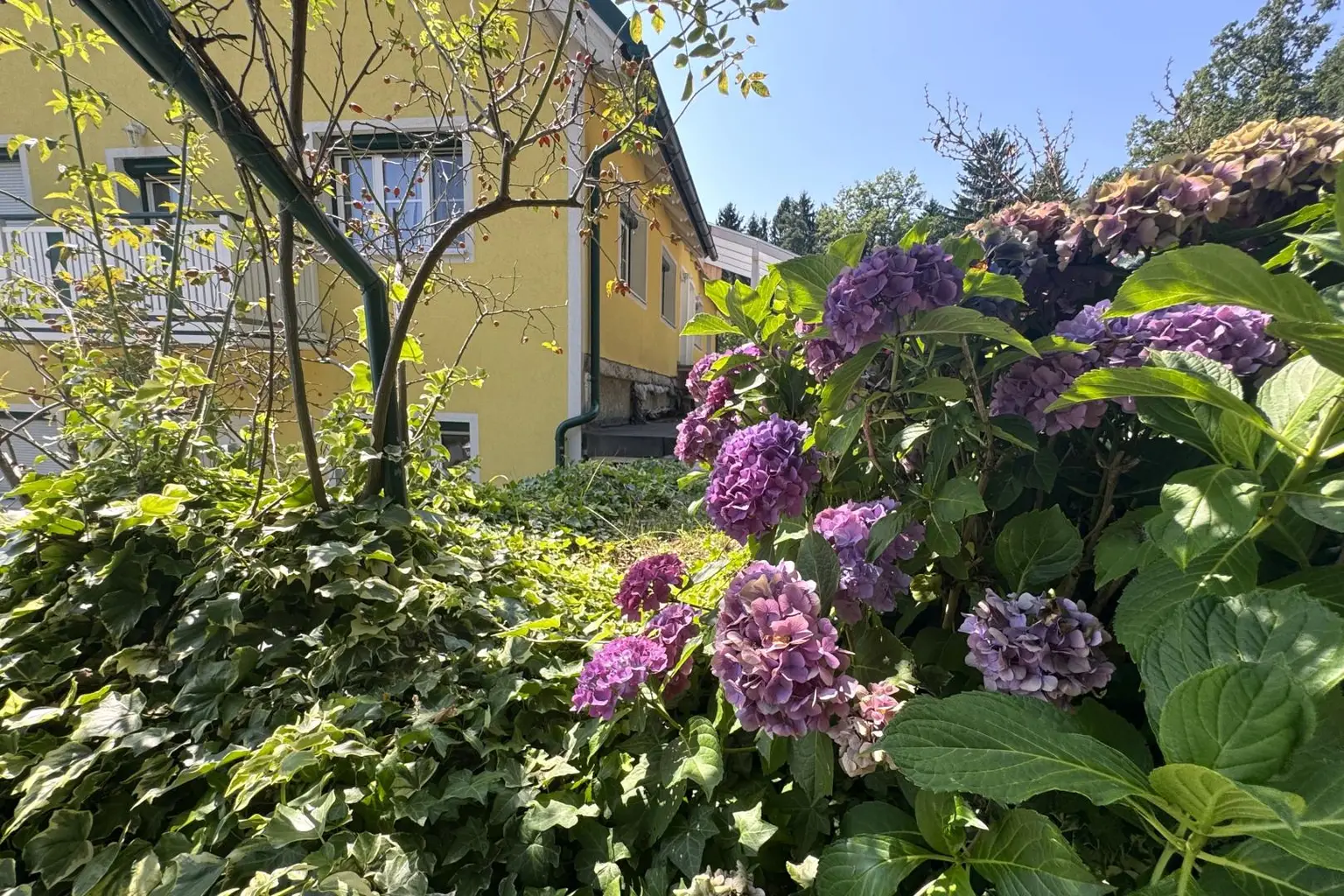 Großzügiges Wohnhaus mit 4 Wohneinheiten in herrlicher Aussichtslage - nähe Graz