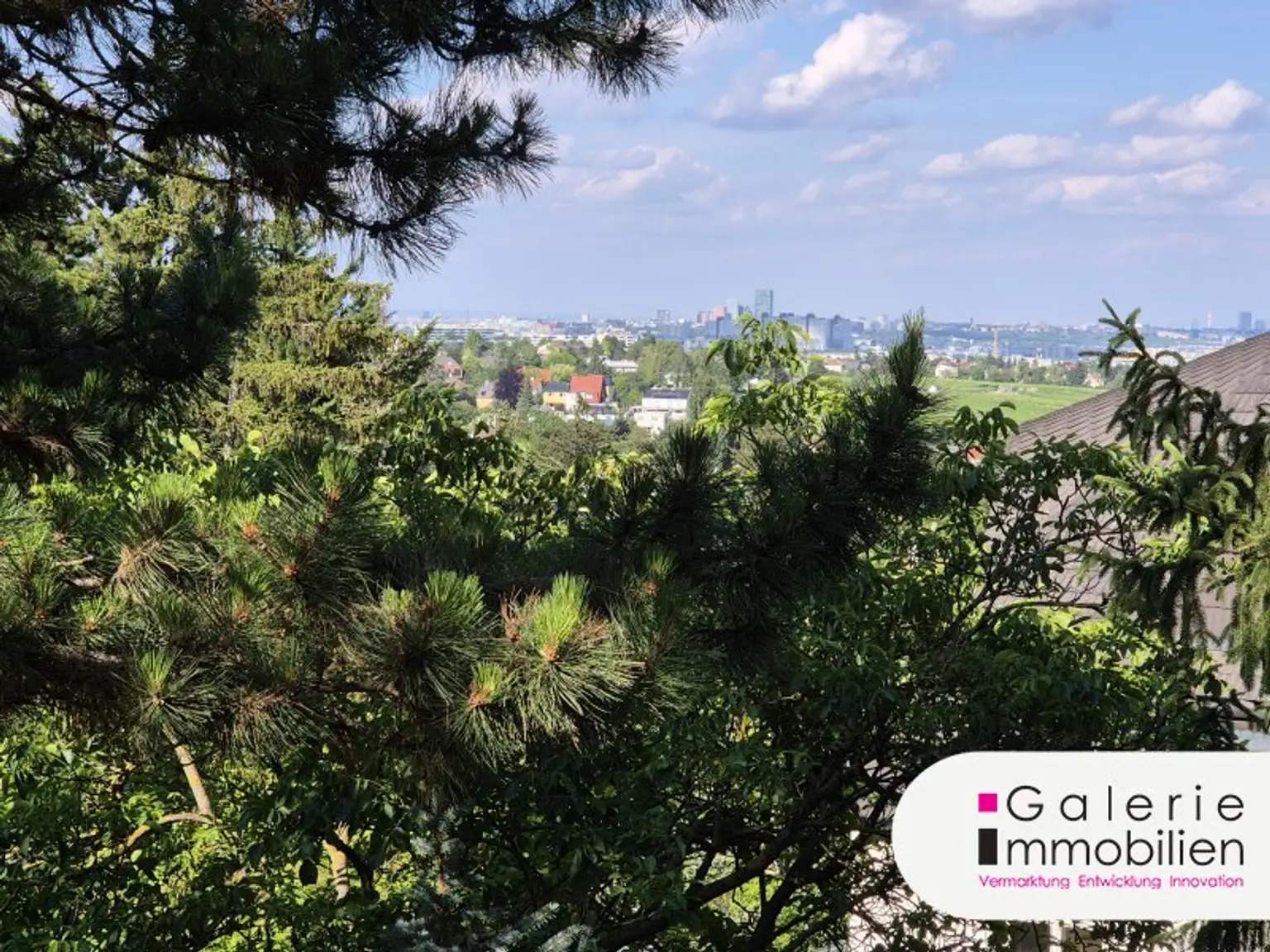 Fernblick