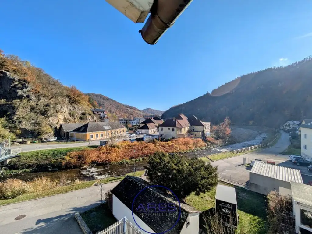 Sonnige Terrassenwohnung am Kremsfluss