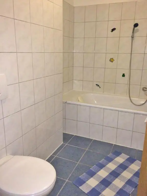 Einzimmerwohnung mit  Küche und Tiefgarage - Welser Straße 9!!!