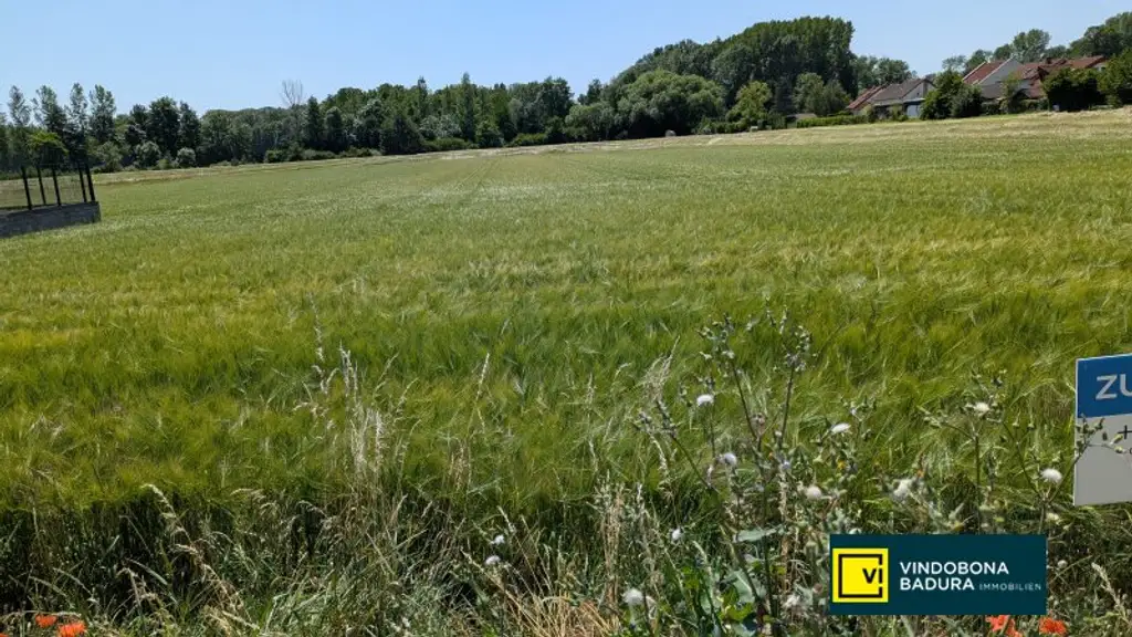 Großes, attraktives Baugrundstück in Trautmannsdorf an der Leitha – Ideal für Ihr Projekt!