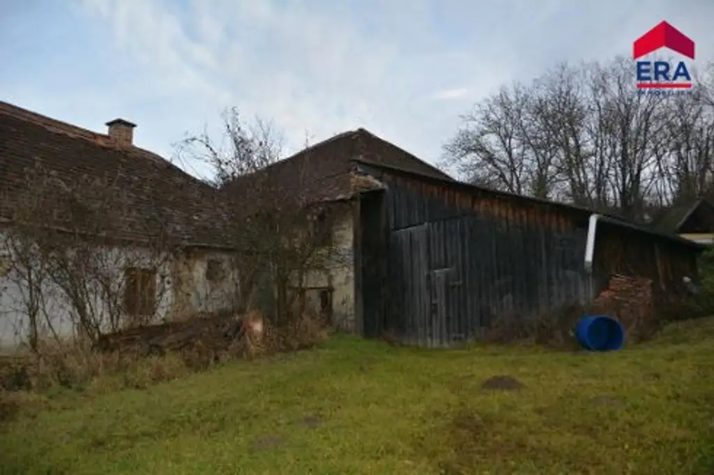NEU: Sanierungshit oder Baugrundstück in traumhafter Ruhelage direkt am Waldrand