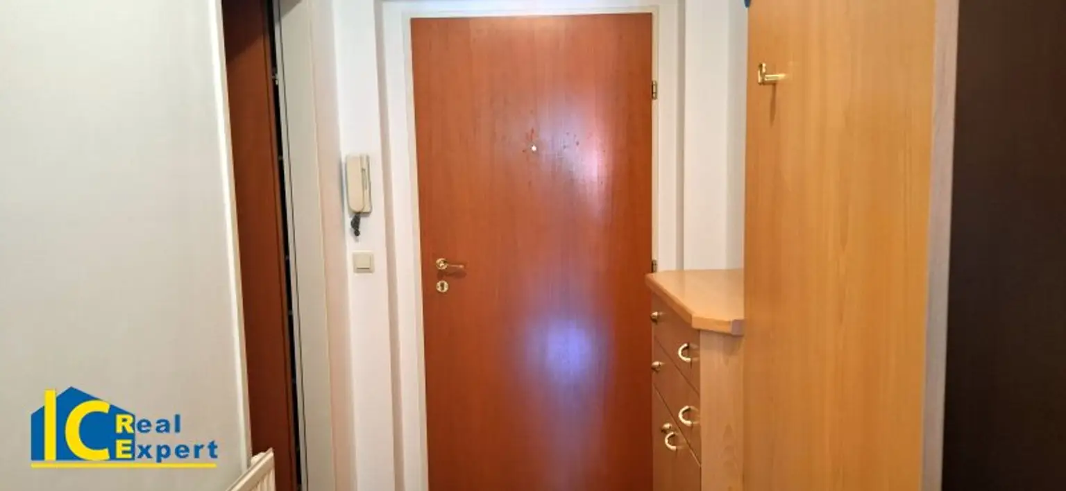 Wohnungseingangstüre