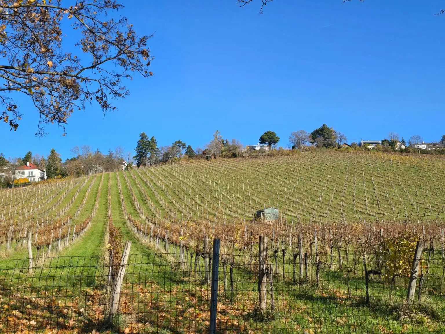 LAGE, LAGE, LAGE... 51 m² Wohnung in NEUWALDEGG - sanierungsbedürftig