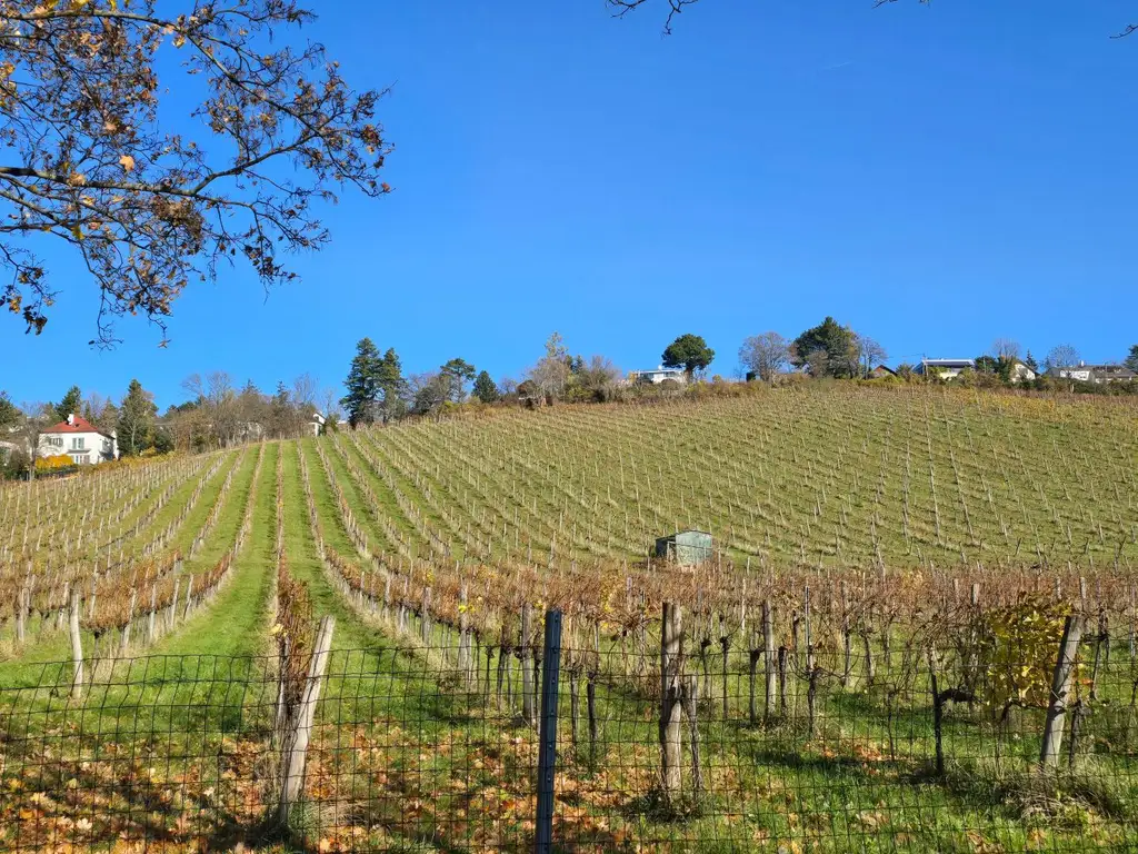 LAGE, LAGE, LAGE... 51 m² Wohnung in NEUWALDEGG - sanierungsbedürftig