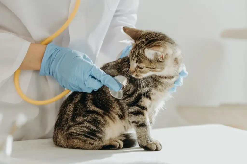 Praxis, Kanzlei oder Physiotherapie- beste Frequenzlage