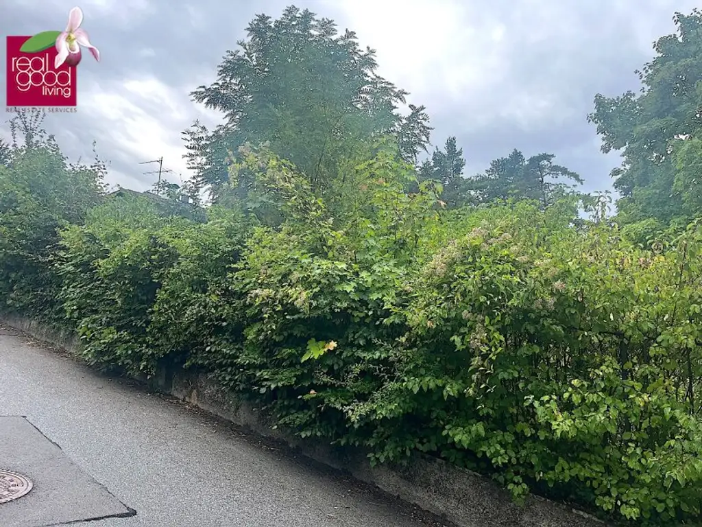 Baugrund in Klosterneuburg – Weidling  1.793 m² Grundstücksfläche | Altbestand vorhanden | teilbar !!