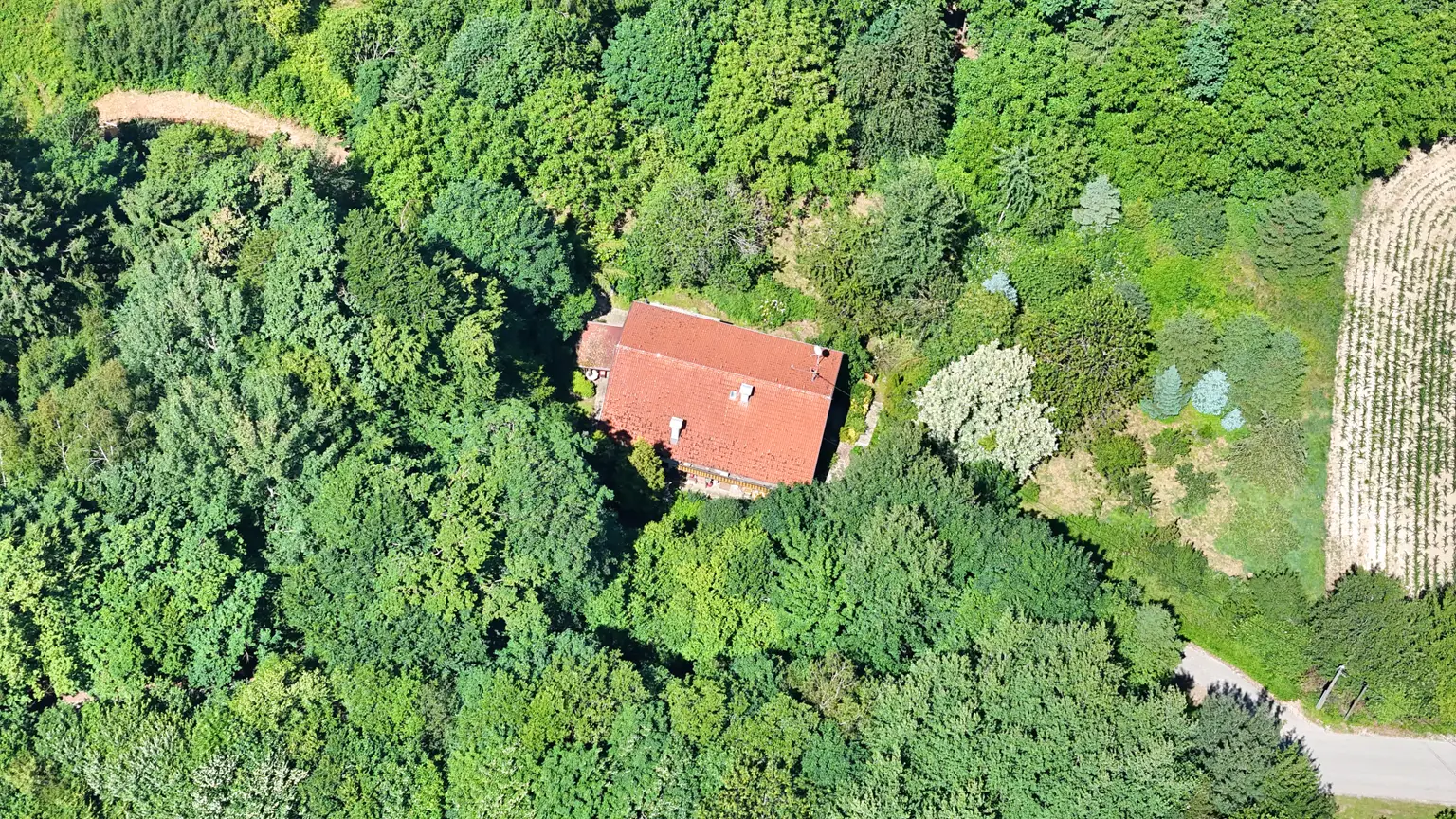 Alleinlage - Naturnahe Ruheoase, liebevolles Waldhaus aus Holz