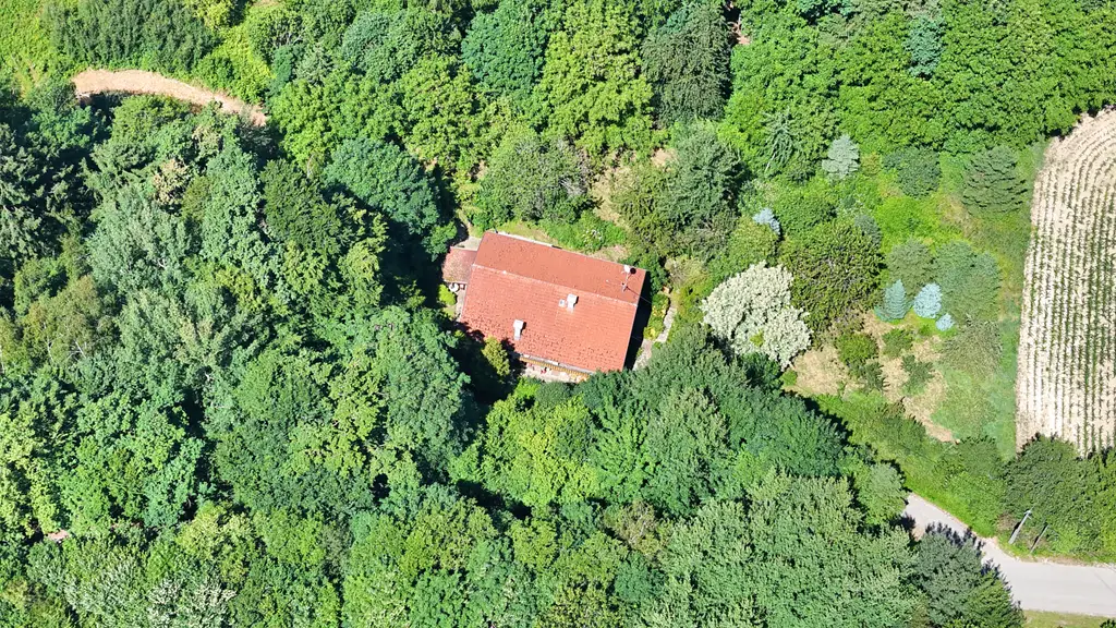 Alleinlage - Naturnahe Ruheoase, liebevolles Waldhaus aus Holz