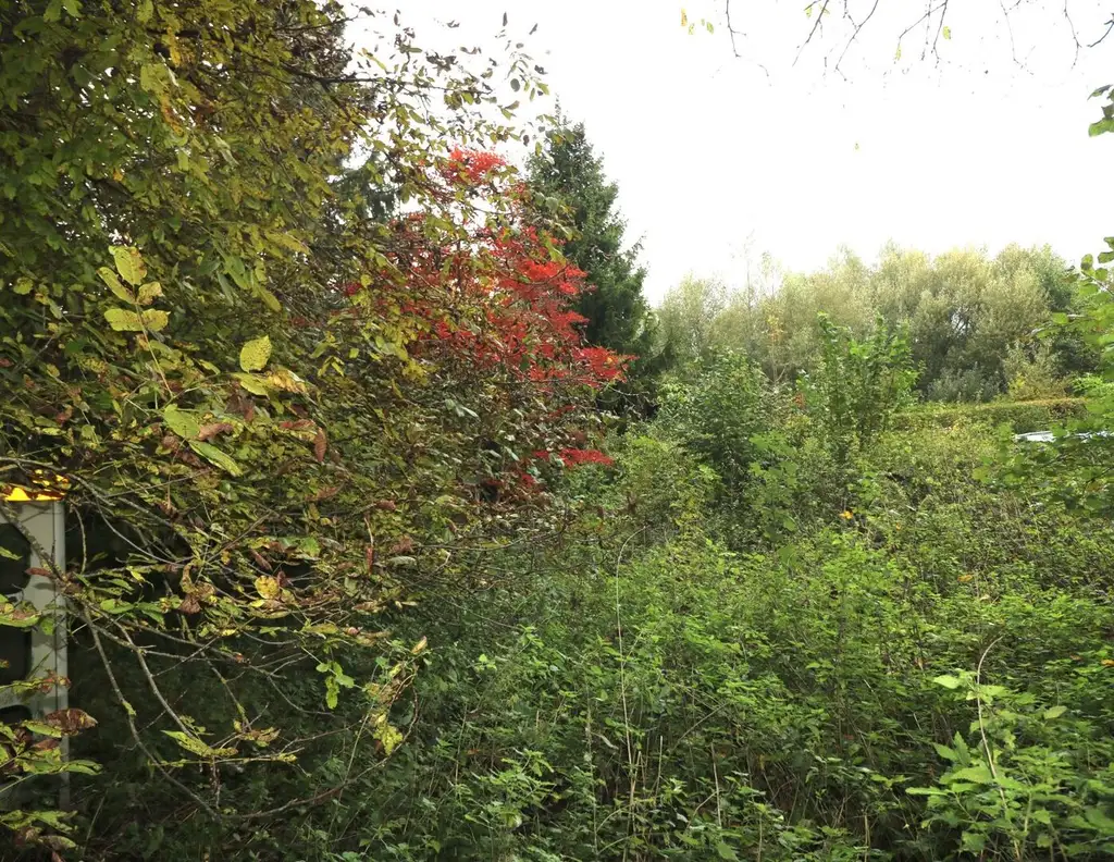 Baugrundstück in ruhiger Lage in Wolfern - kein Bauzwang, kein Bebauungsplan