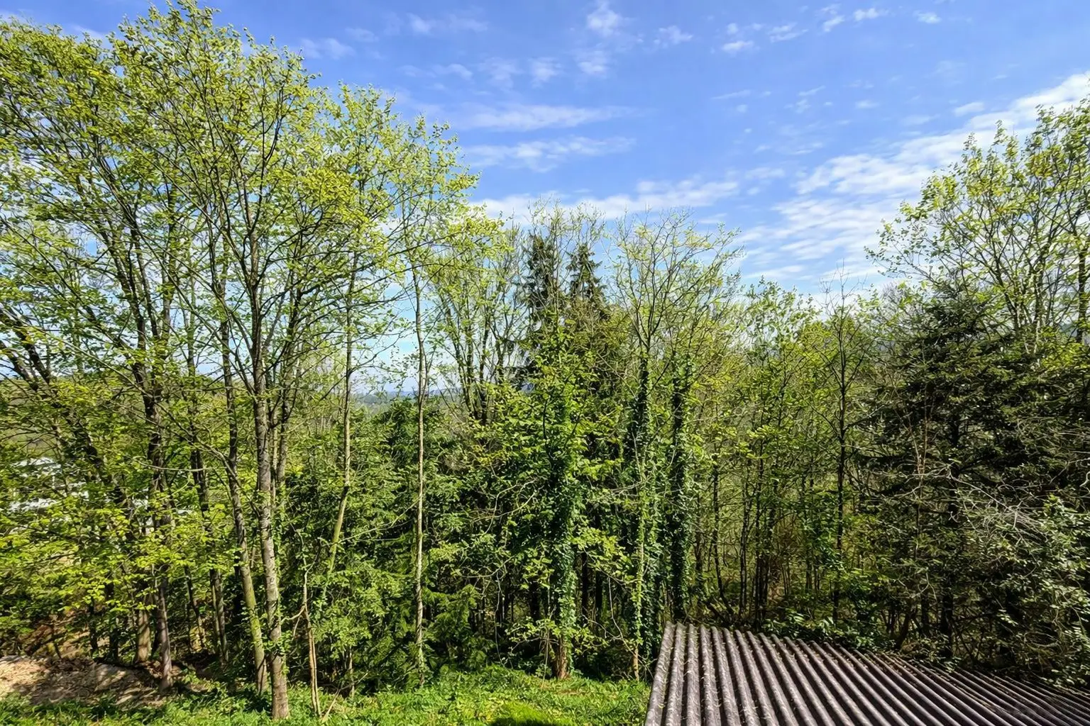 **Im Hügelland mit Fernblick: Einfamilienhaus mit Wäldchen, Nebengebäude & 2 Garagen**