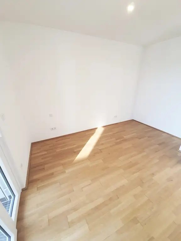 Zimmer I