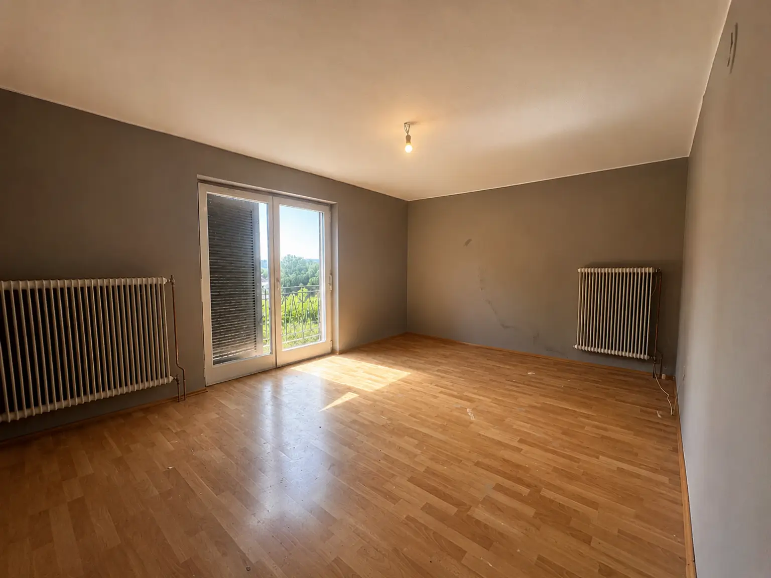 Zimmer DG