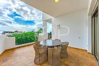 PHOTO-2025-12-03-10-36-13_4