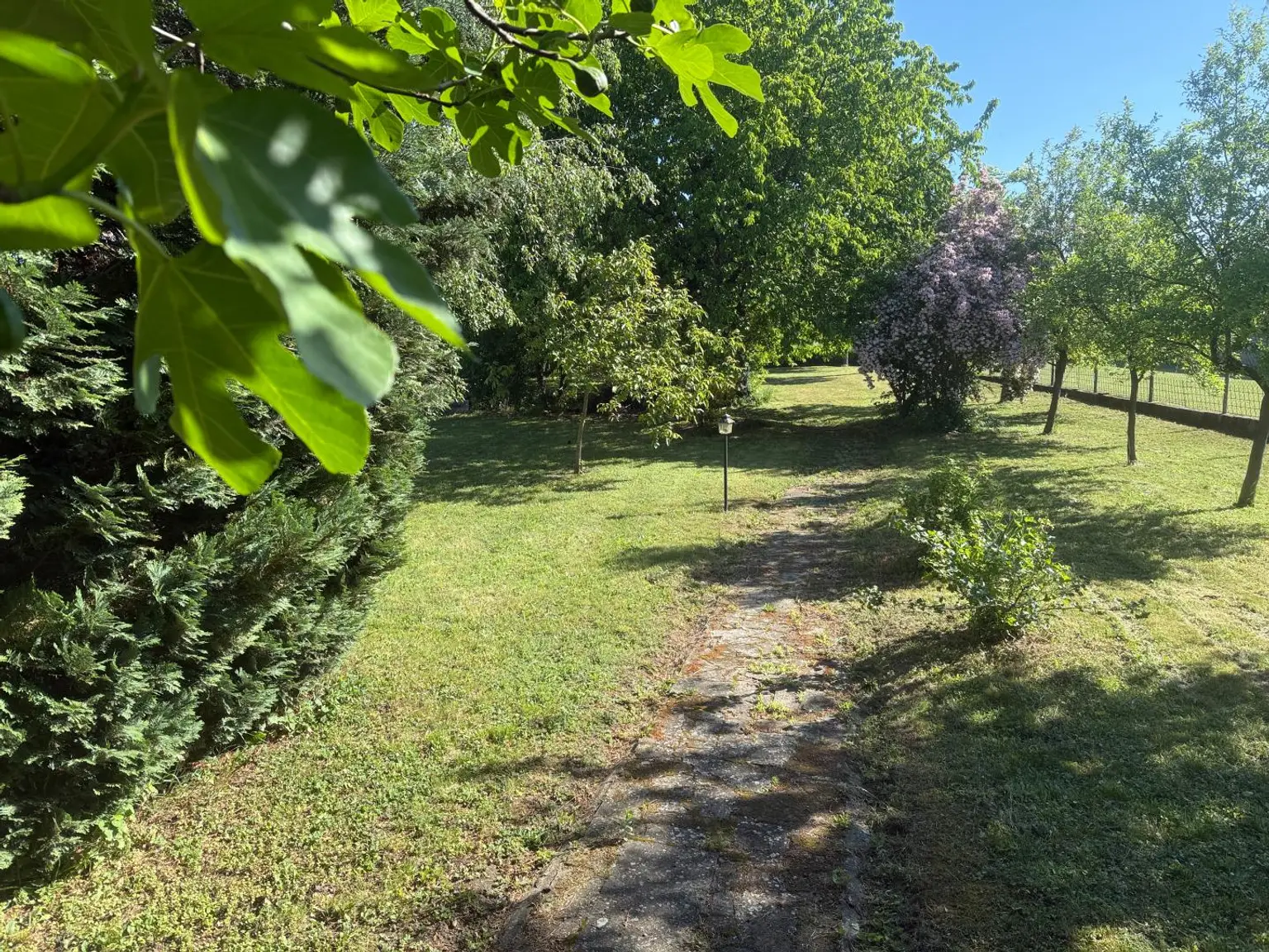 großer Garten mit Biotop