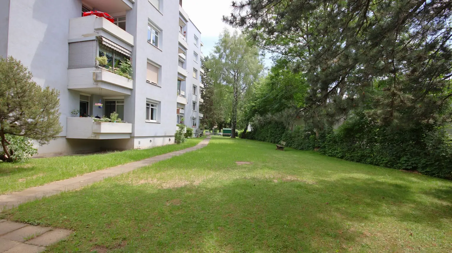 allgemeine Fläche