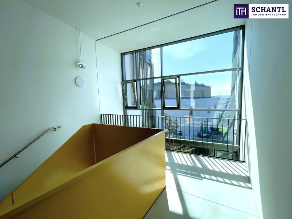 3-Zimmer-Wohntraum mit Dachterrasse in Ebergassing - Sonnenuntergänge inklusive! Schnell sein!