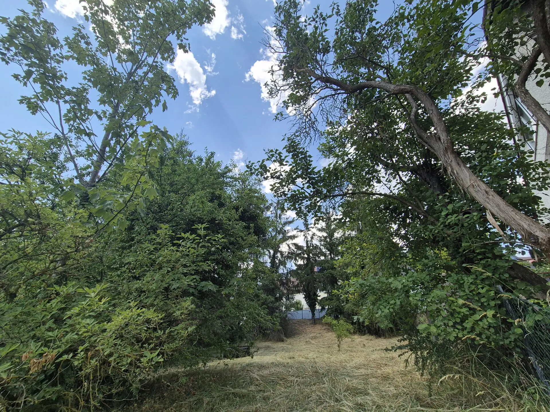 Sommerbild