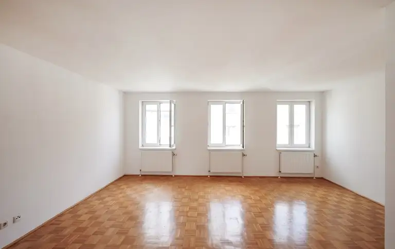 Zimmer V