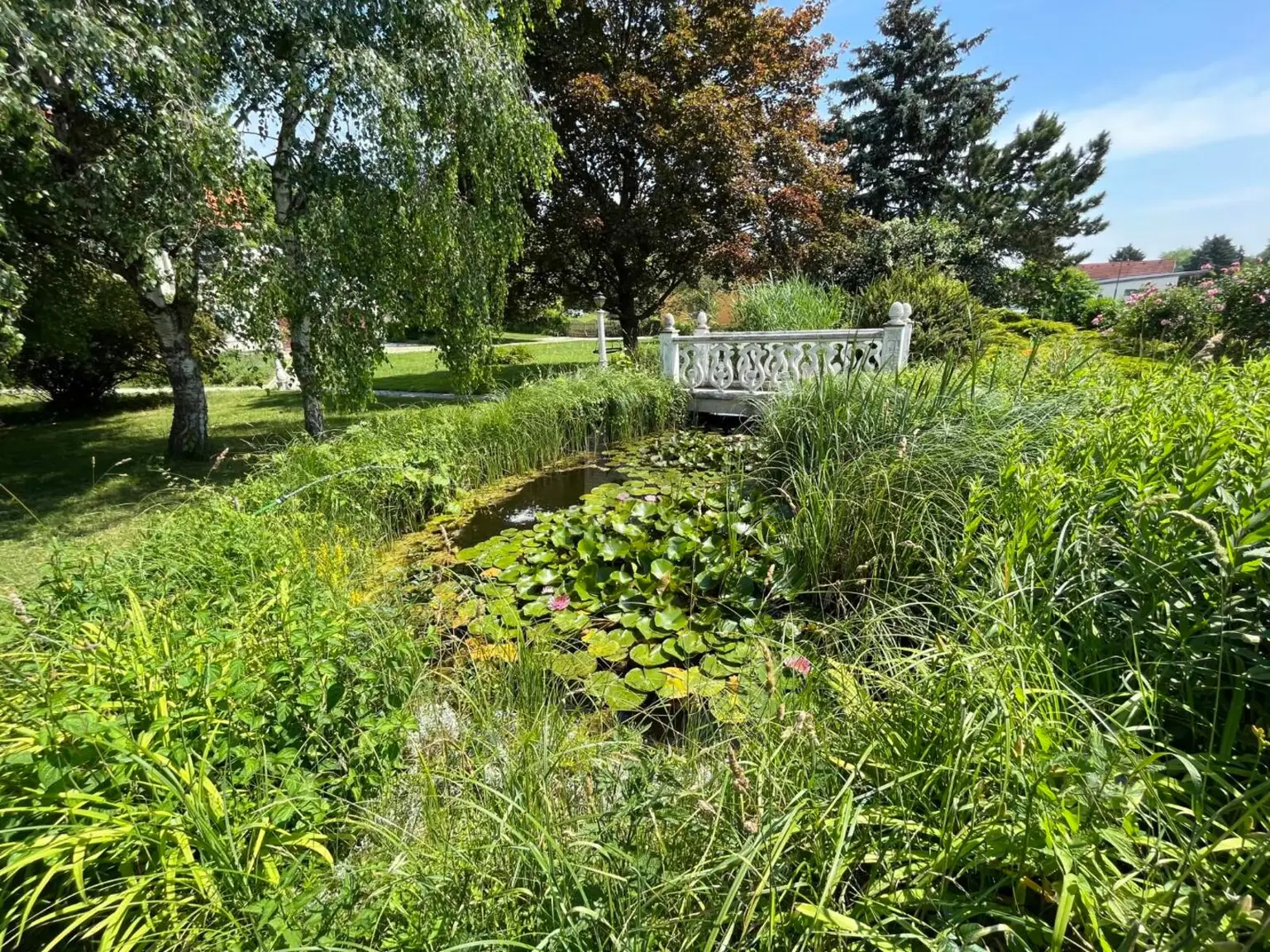 image 27498 1533 202671414652463