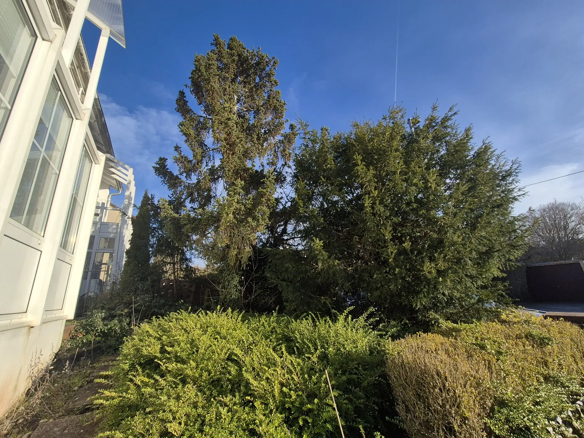 Hausansicht Strassenseite 3 Gartenbereich