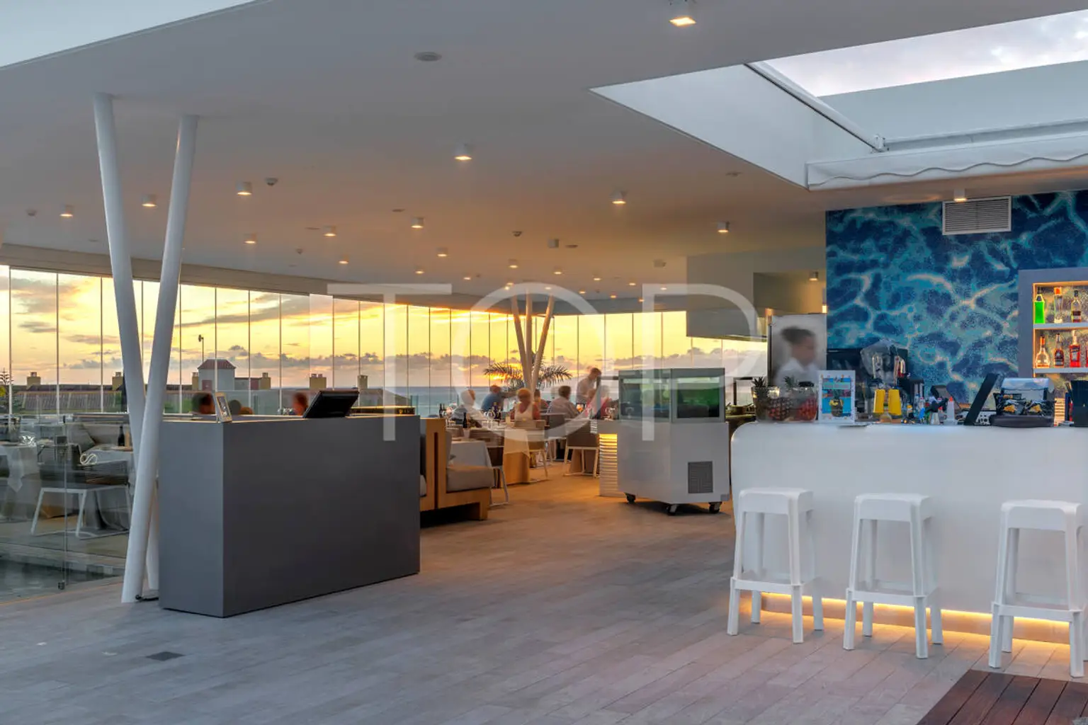 Starfish Night 001 2048