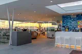 Starfish Night 001 2048