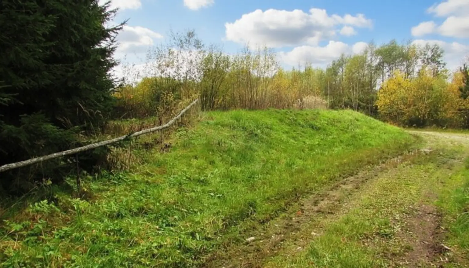 *****Fischteiche im nördlichen Waldviertel*****