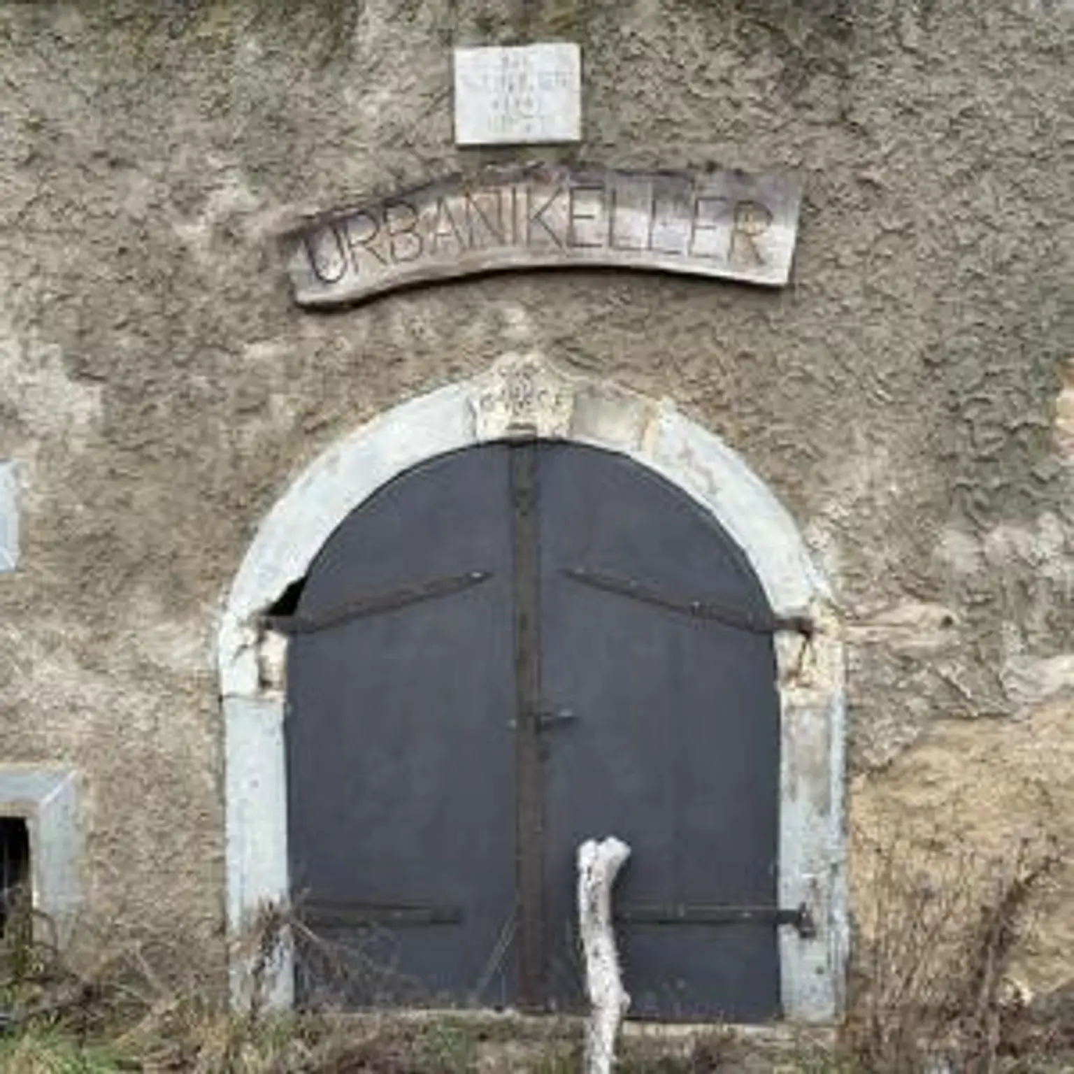 upload_a43d1117d7f7536522e075860e7e9e7c5d1867cc_thumbnail_a43d1117d7f7536522e075860e7e9e7c5d1867cc