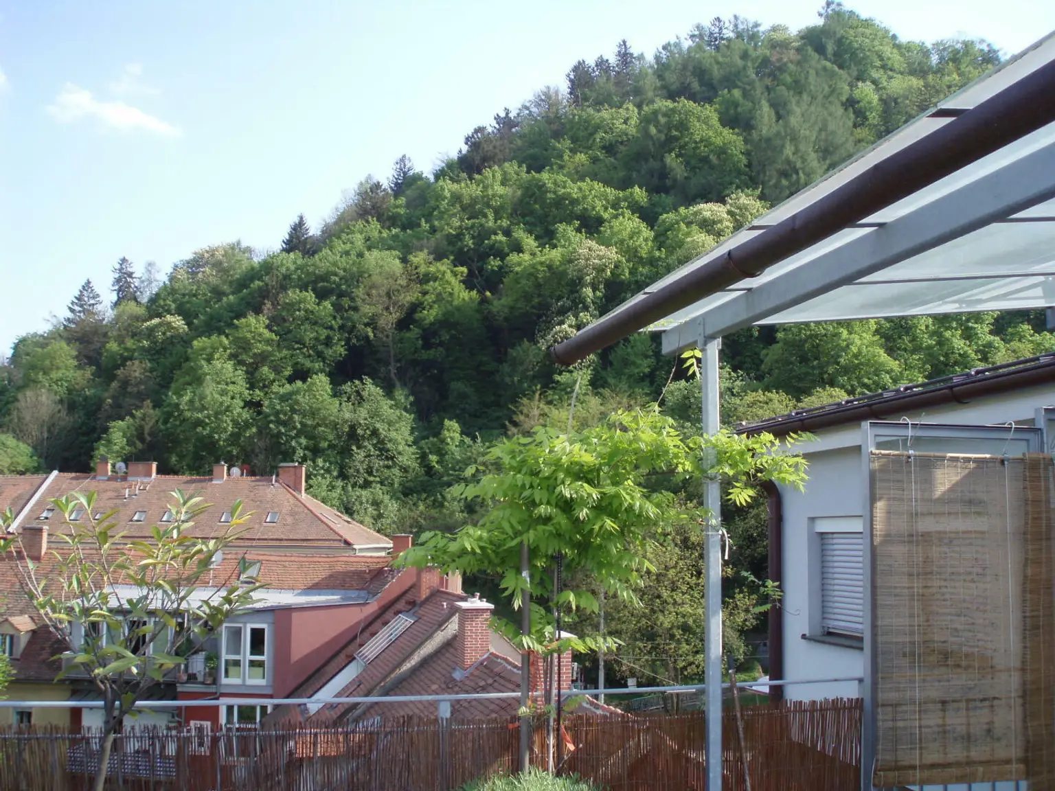 Blick von der Terrasse