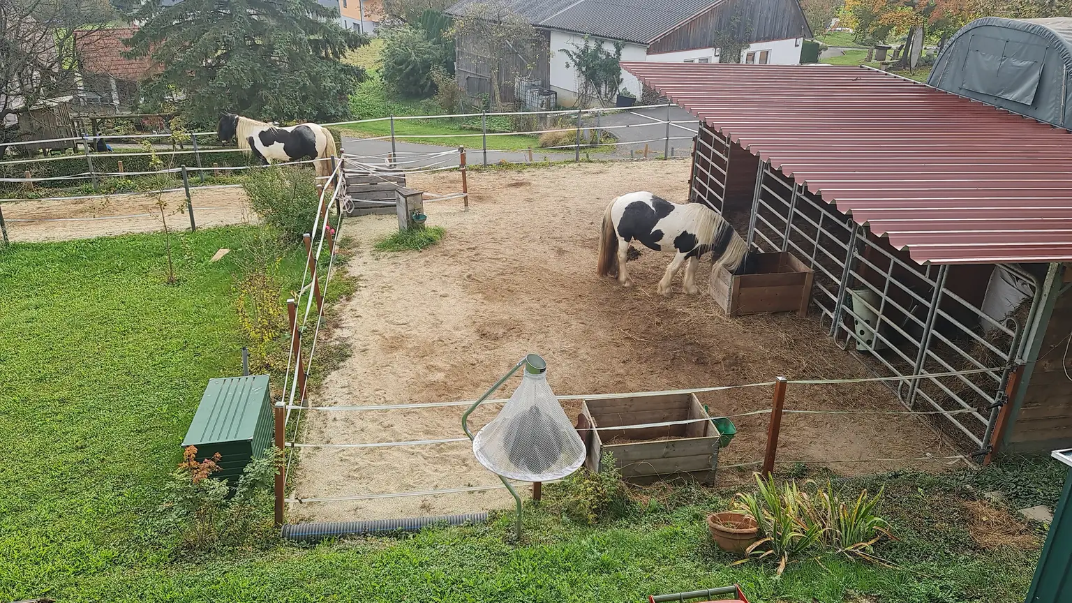 Deine Tiere und Du - bei Feldbach