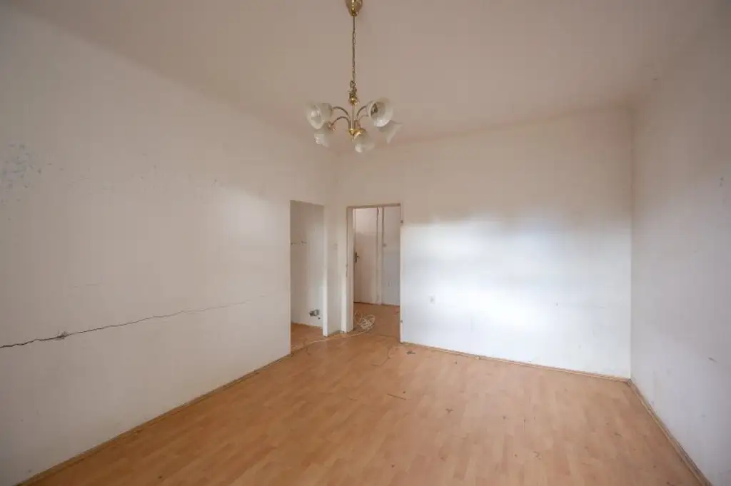 ++Fasangarten++ Altbautraum zum Selbstgestalten – 2-Zimmer-Wohnung mit Entwicklungspotenzial