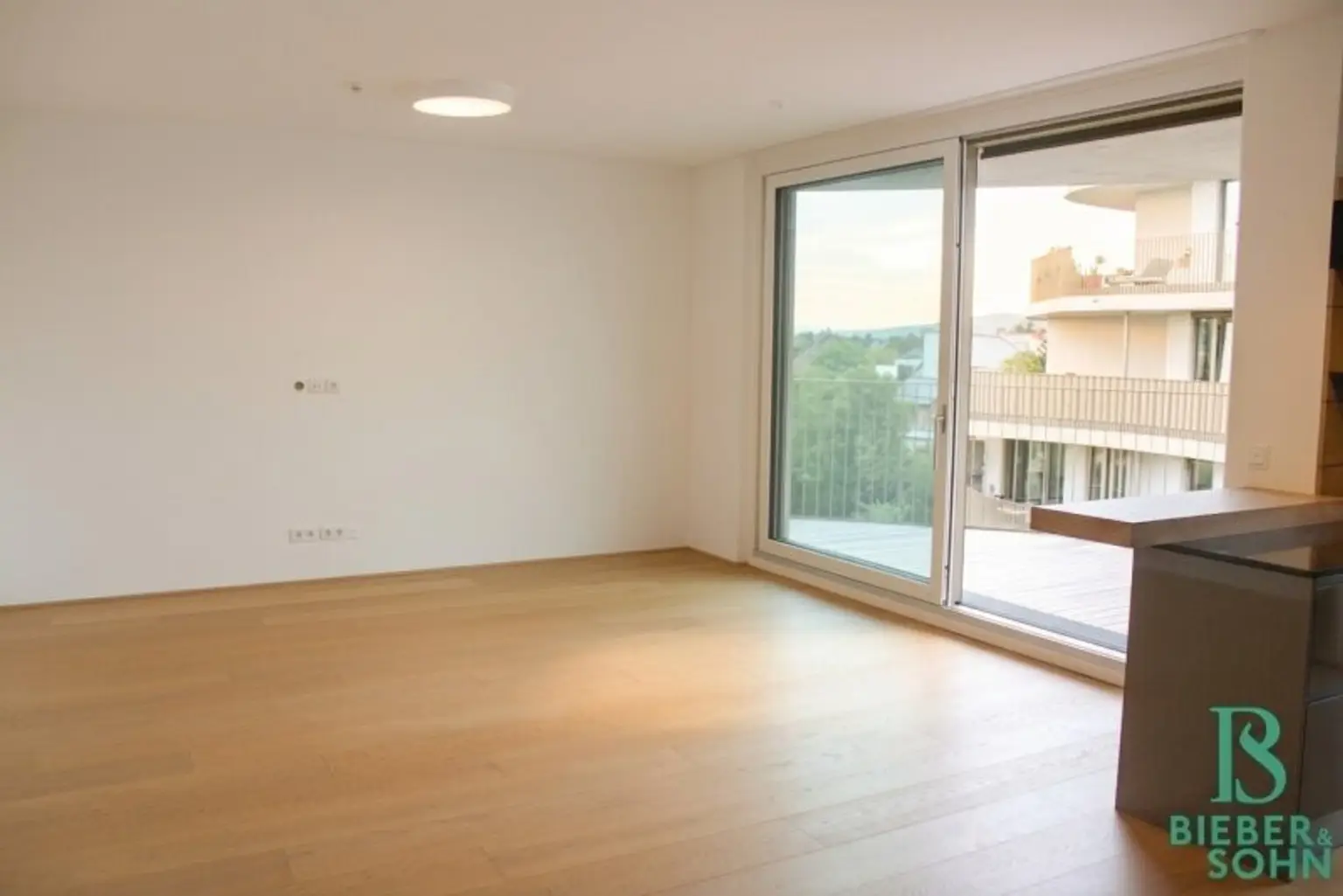 Wohnzimmer - Balkon