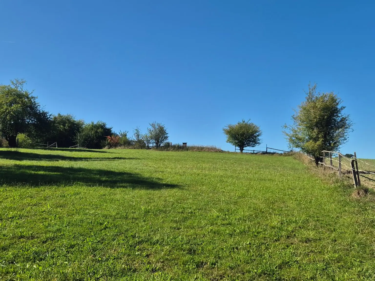 Wunderschöner Dreikanthof in Ruhelage mit Reithalle