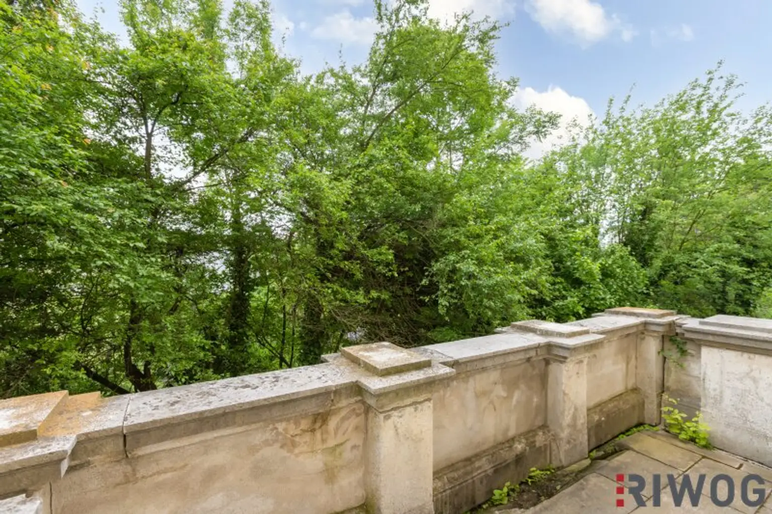 Herrschaftliche Wohnung in historischer Villa | über 440m² Garten & möglicher Infinity Pool | ca. 4,40 m Raumhöhe | sanierungsbedürftig | U-Bahnnähe