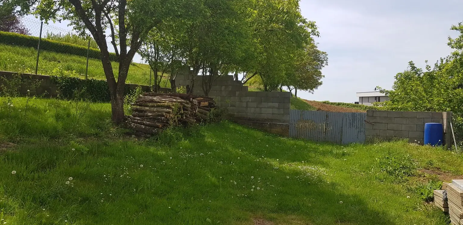 hinterer Garten
