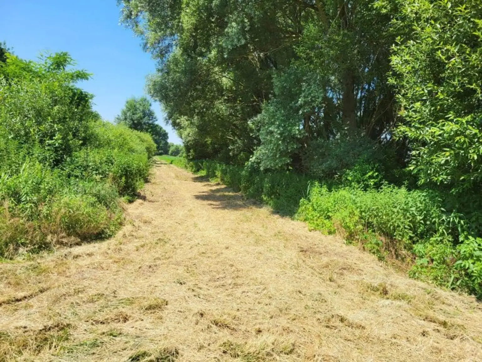 Somogysámson Weg3
